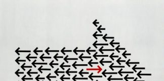 The Genius Fool Resilience Code: How to Keep Moving Forward When Life is Against You