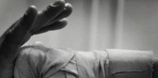 How to Train Like a Fighter (Even If You Never Step in the Ring)